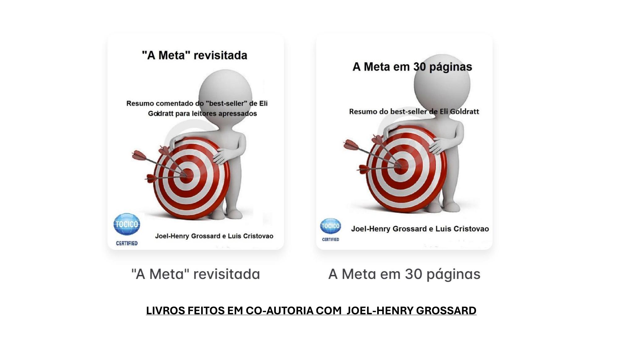 A Meta revisitada e A Meta em 30 páginas